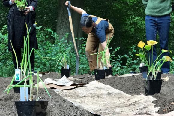 Skye Jin, Gardening is Activism